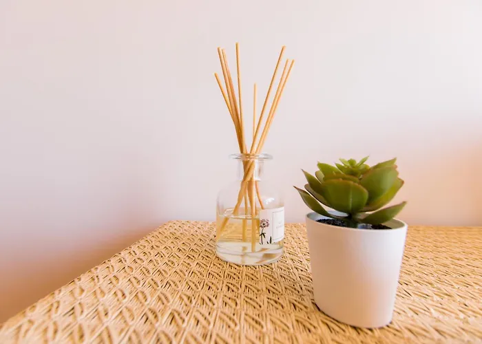 Americas Sea View - Tenesol *